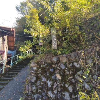 ここが、登山口なんやけど、ちょっとわかりずらい🐸💦
