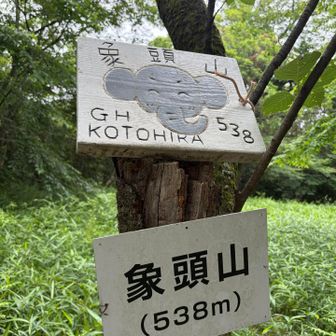 かわいい🐘さん