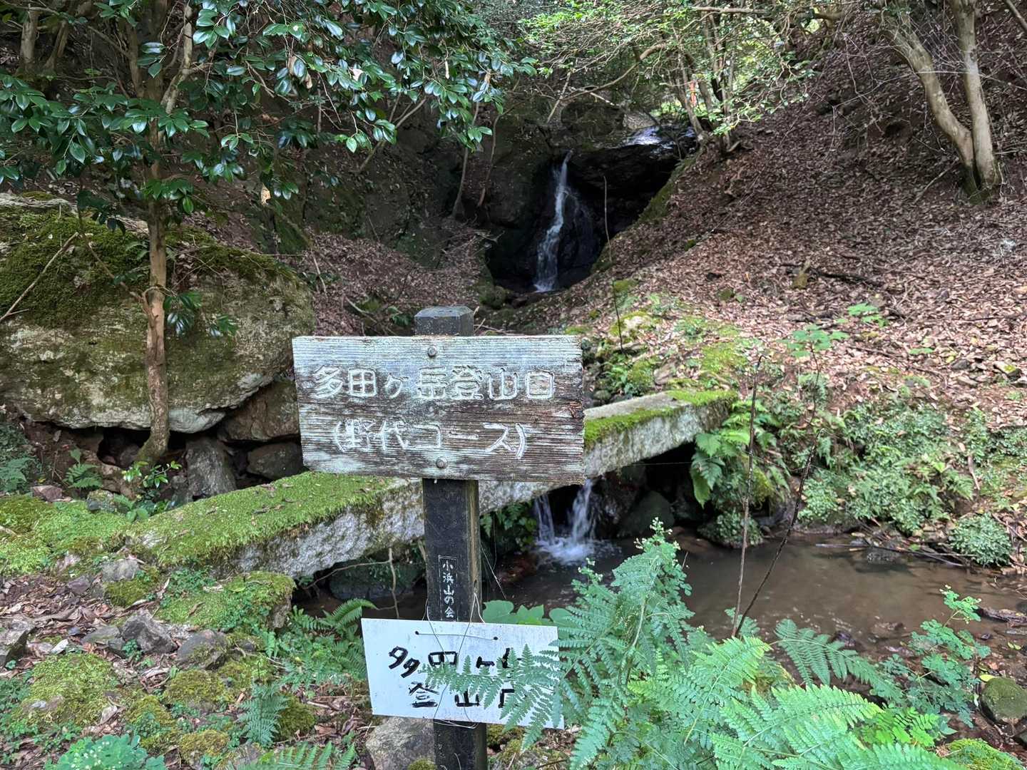 何方かの記述に、多田ヶ岳は野代コースを歩くのが王道的と書いてあったので、野代コースを選択いたしました。