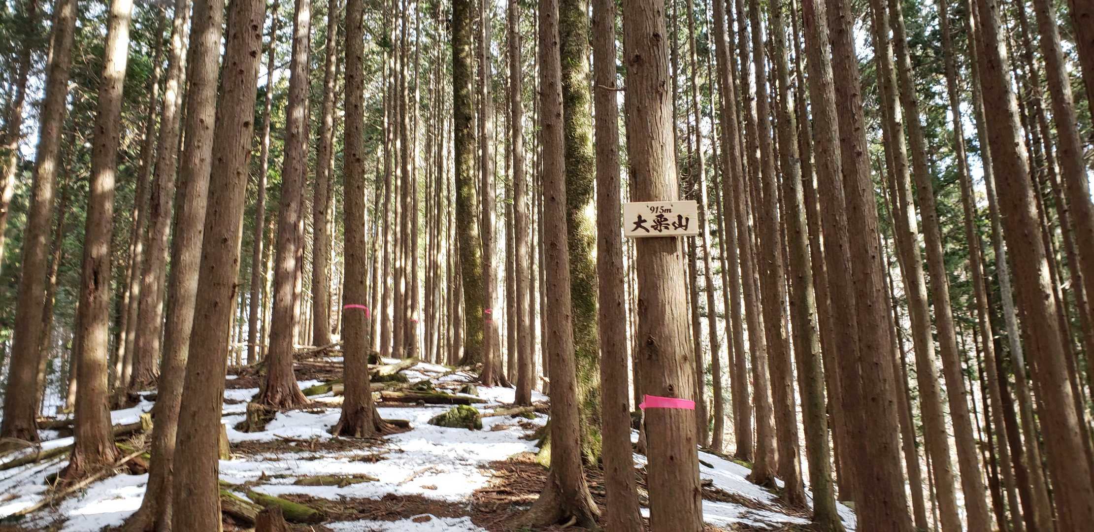 大栗山⛰️頂上