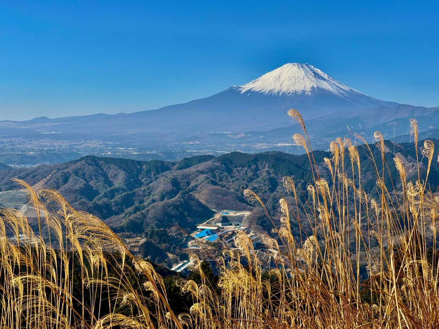 本日の富士山、素晴らしい〜🗻