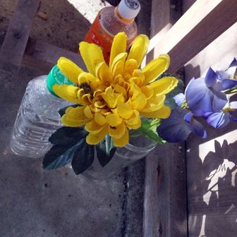 肉眼では薄暗い