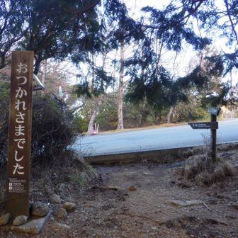 ほんと、おつかれさまだよ・・・