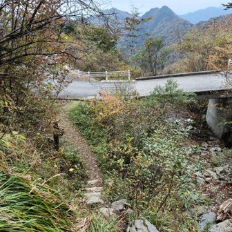 ５台限度の駐車スペースからスタート
