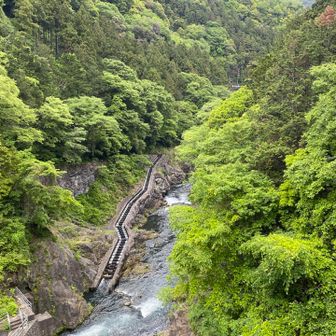 魚道が見えた！