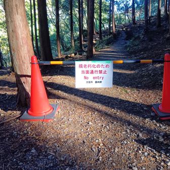 がーーーん！😞
遊歩道歩くつもりで、ザック背負ってトレポ持って来たのにぃーー
「橋老朽化のため当面通行禁止🚫」
フィールドメモにて、投稿済