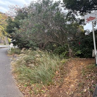 八重坂峠　入口