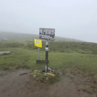 竜ヶ岳山頂
身体斜めにしてないと飛ばされそう🌀
滞在時間1分