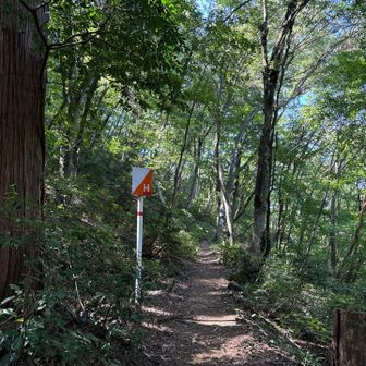 Hコースでトレーニングするよ。小文殊までもう一回ね