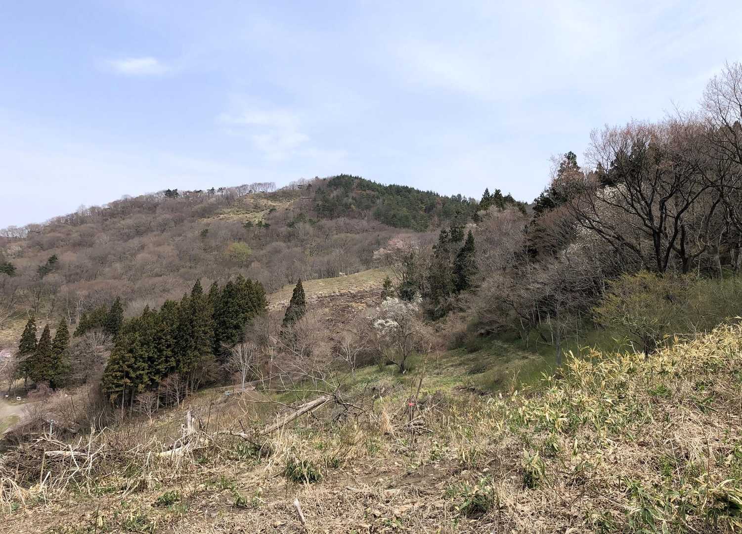萌黄色の駒形山