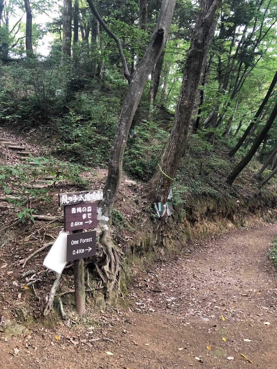 風の子太陽の子広場への分岐。昔は立派なアスレチックあったような記憶があります。