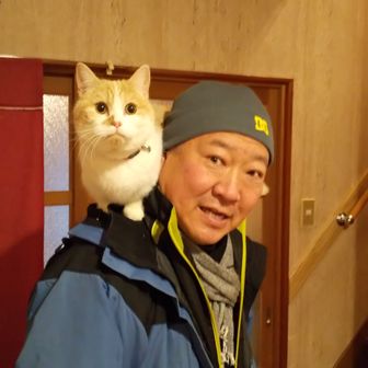 虎徹虎夏パパ