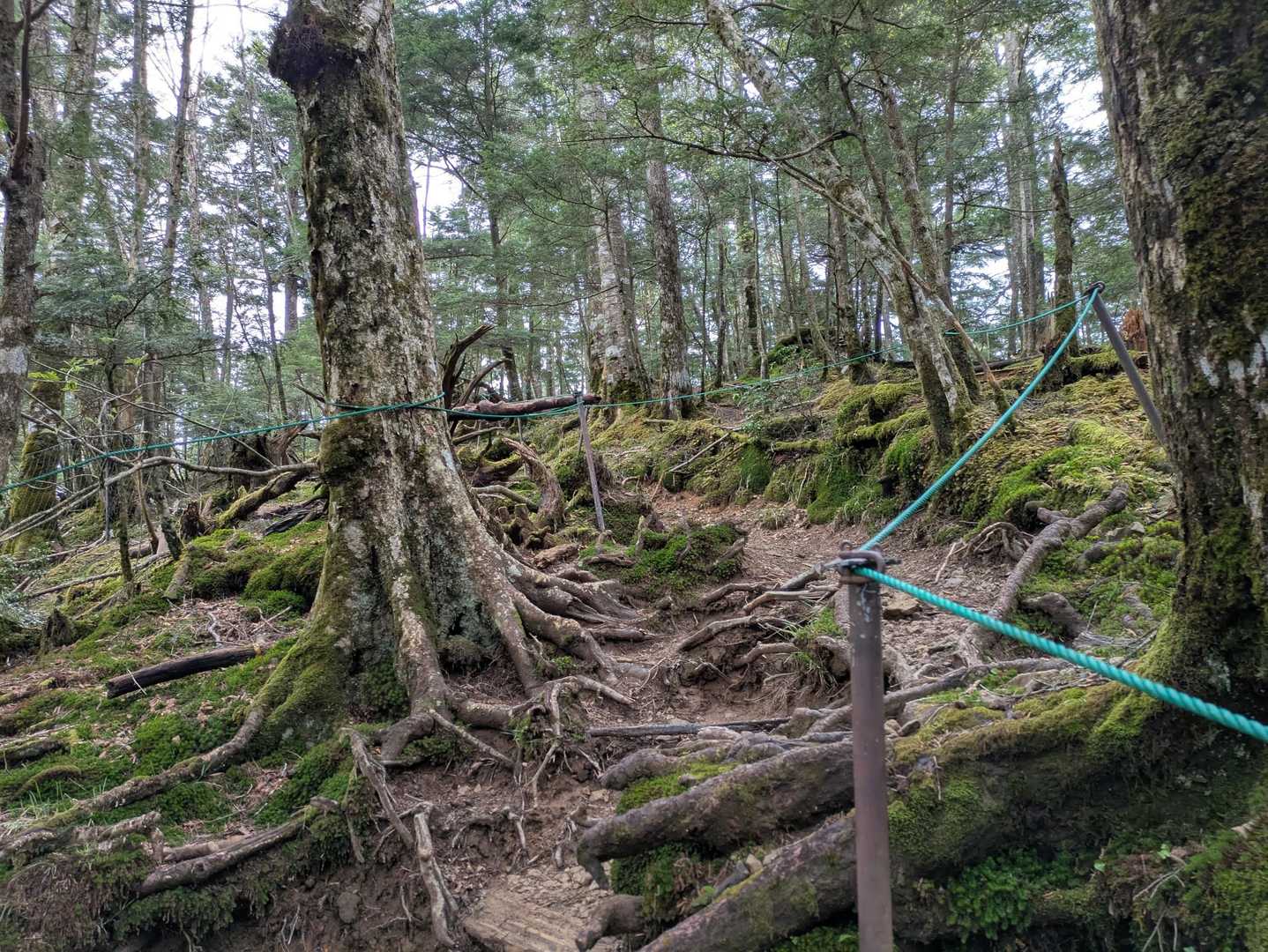雲取山アタック開始