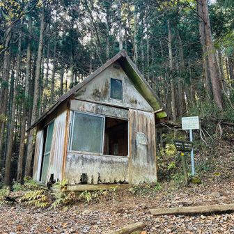 雨風が凌げる場所ですが、恐怖の方が勝ちました
