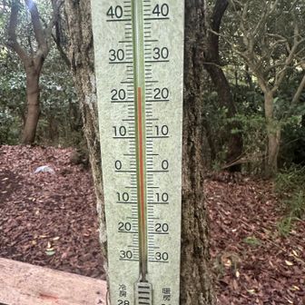 大山に到着
気温は24℃かな
風があるのに蒸してます