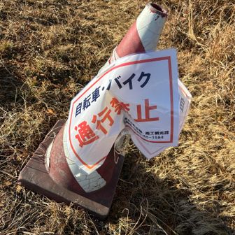 自転車で来れるんかい_-_-🚲💨_-_-_