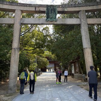 大山祇神社大鳥居⛩️