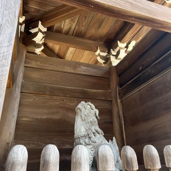 遠吠えしてるのかな？