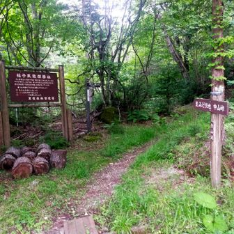 登山開始。