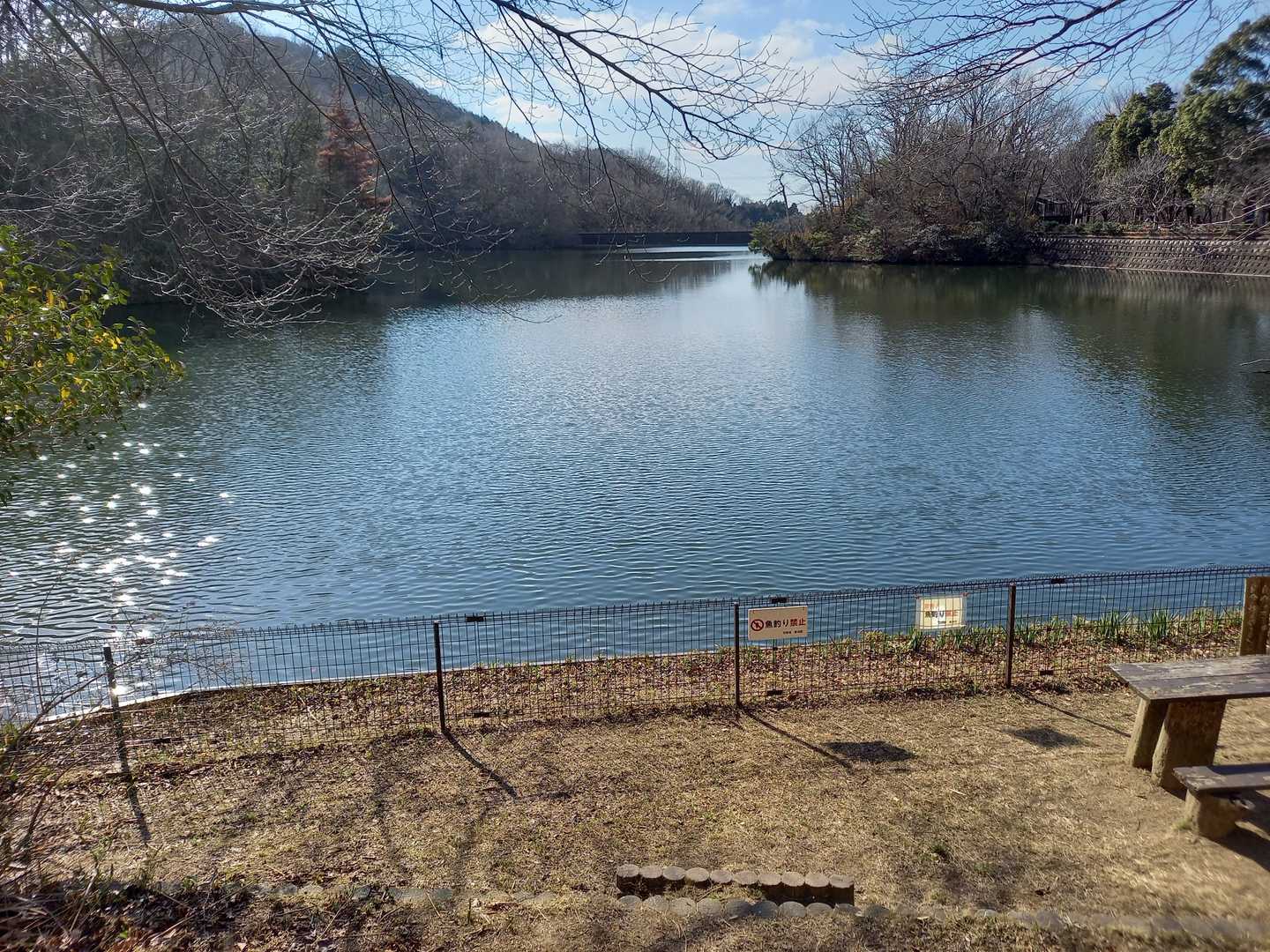 おぉ～大きな池😆