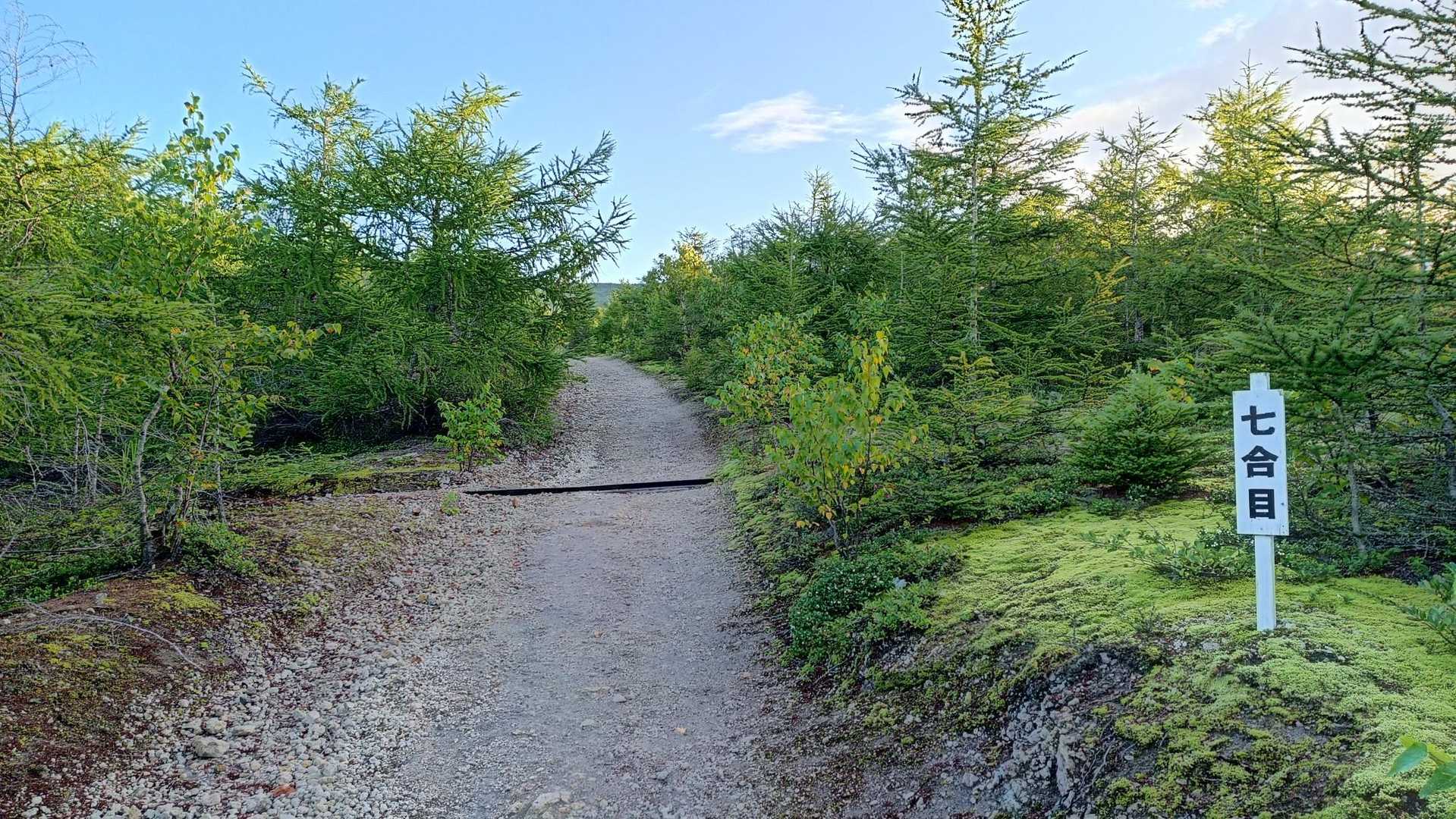 北海道駒ヶ岳登山口-駒ヶ岳（馬の背） 往復コースの写真
