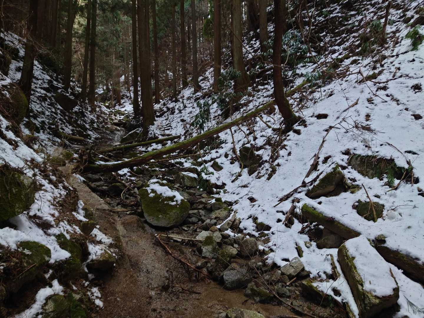 渡渉