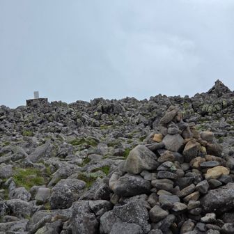 山頂はみなさんのレポのとおり広くて岩ゴロでした🪨