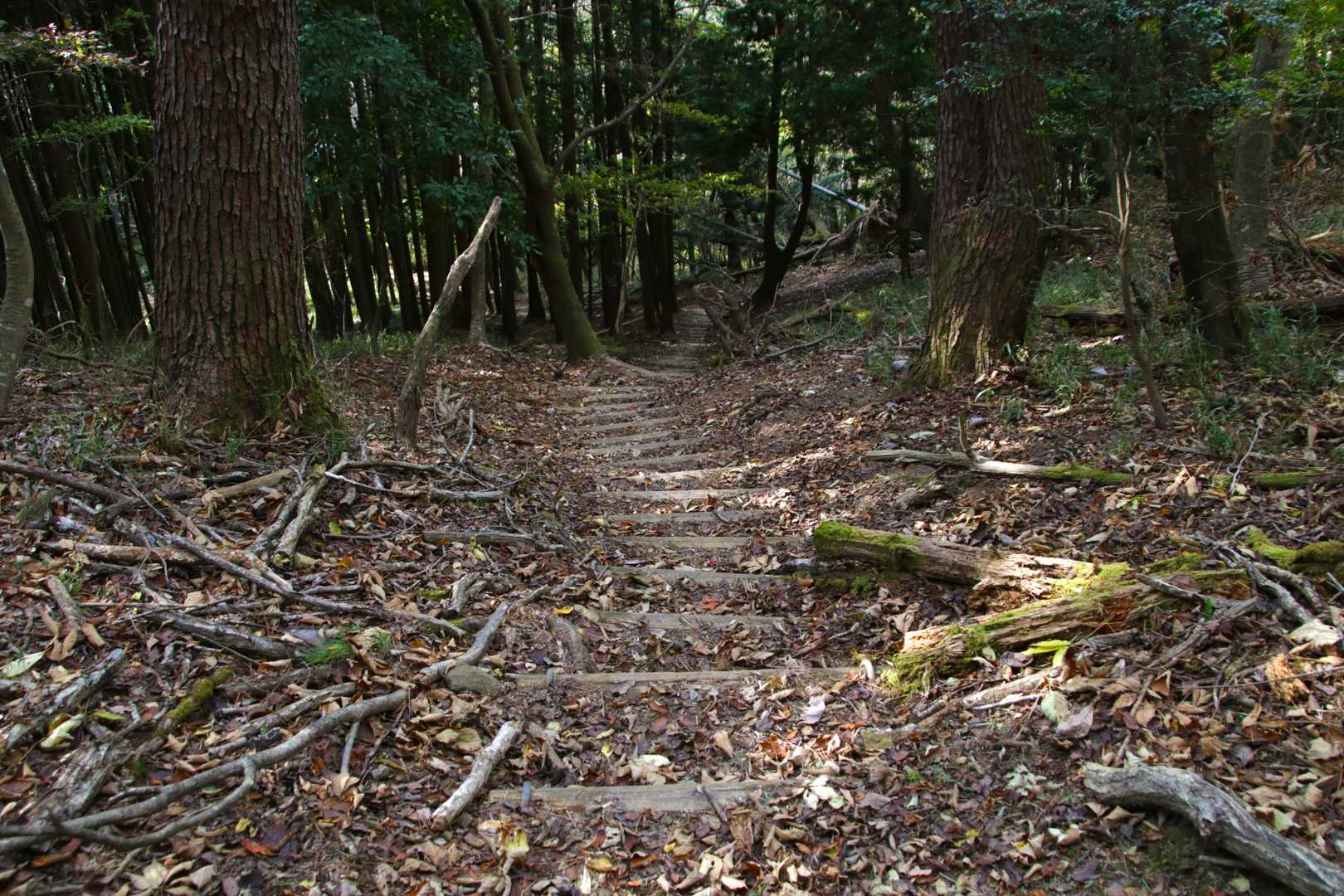 怒涛の下り。