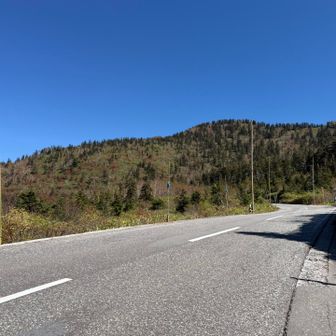 道路を横断して