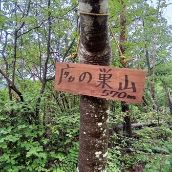 ３分で鷹の巣山😅