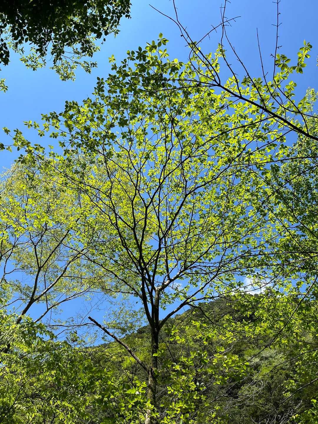 空とのコントラストが美しくないですか？