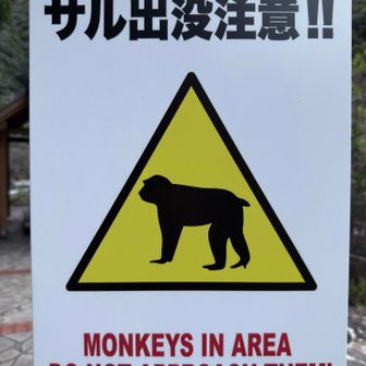 ミズキ