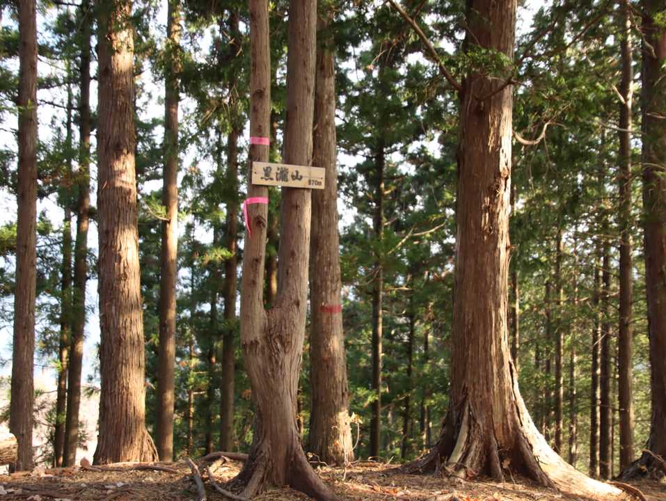 行きに寄らなかった黒滝山山頂
いつの間にかできていた山頂