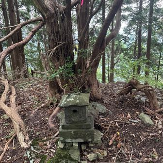 スガ岳、昔は丸木橋で小川を渡り、今は杉植林とススキだらけの道を通り山頂ちょっかへと進んだ模様。直下より先はテープも見えて分かり易い。今は木橋は朽ちて乗れません。ルート外すと薮でなく棘と朽ち木のかたまりで難儀。入口の道より杉もススキも蜘蛛の巣にも構わず足元の道を信じて直進が安心。テープ有りますが薮へと案内される為前者がよろしいかと思います。
トルソーウォーキング推奨☝️