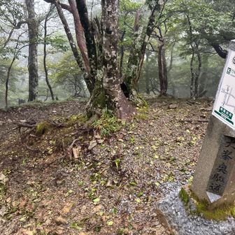 西口の急登が見たくて周回します。
雨がパラパラ降ってきた。