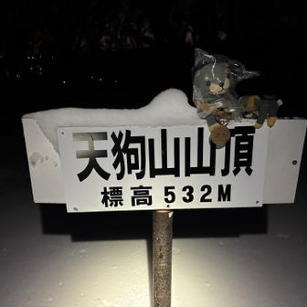 やっとこトウチョ🐶🐰
２人でも１時間以上かかるとわ💦