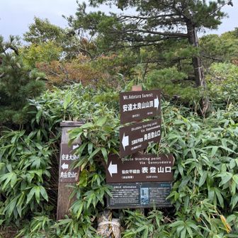 いつのまにかワイルドな登山道に