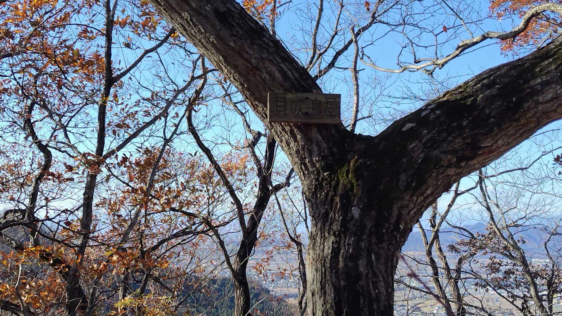 ☝️これが問題の山名板
Peak 6　貝吹鳥屋
よく見つめると読めるかも💡