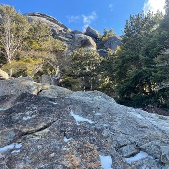 ココは鎖を使った。