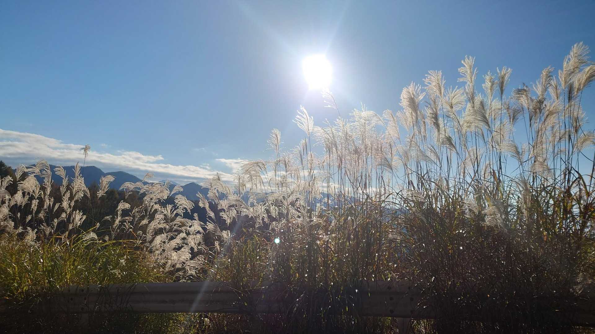 秋だね〜🌾