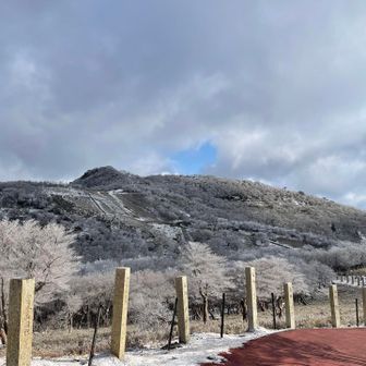 人がいないので余計に寒々しい