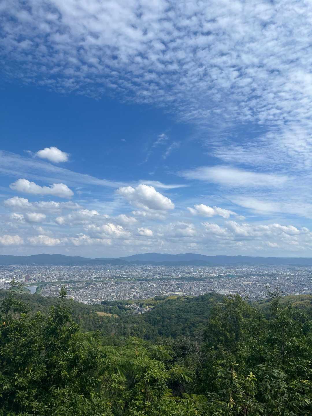 西側からの京都