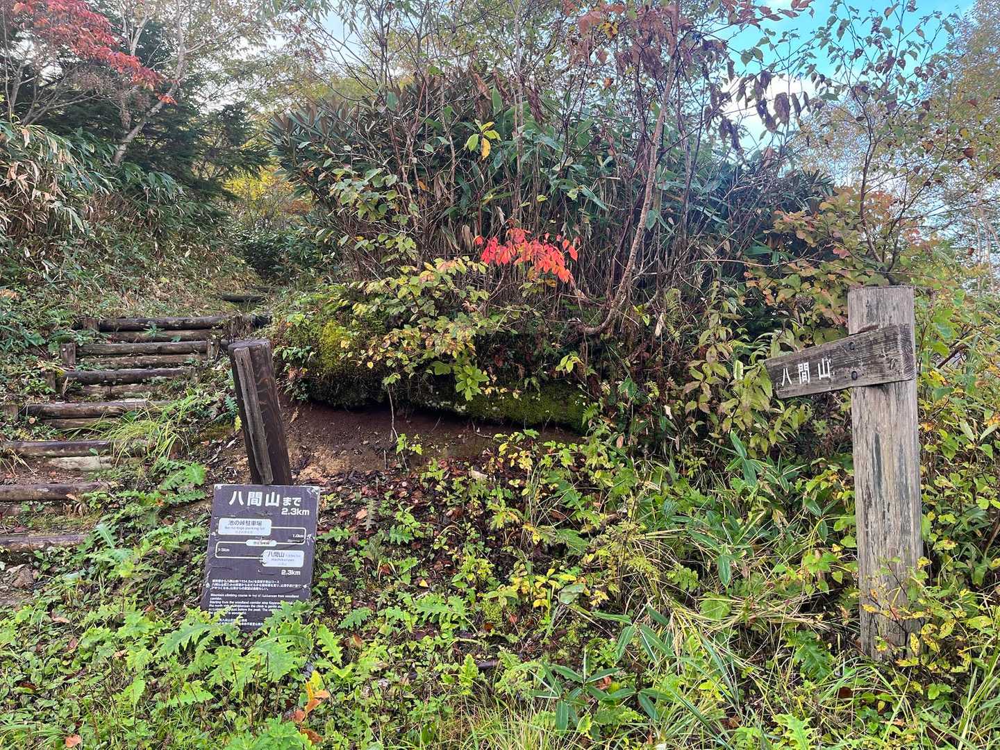 池の峠🅿️の八間山登山口からスタート▶️