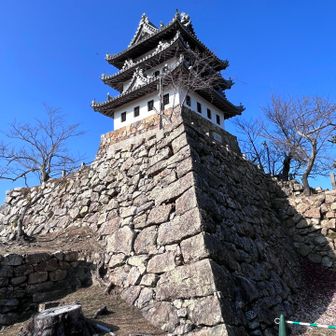 綺麗ね！🌸咲く頃にきてみたい✨