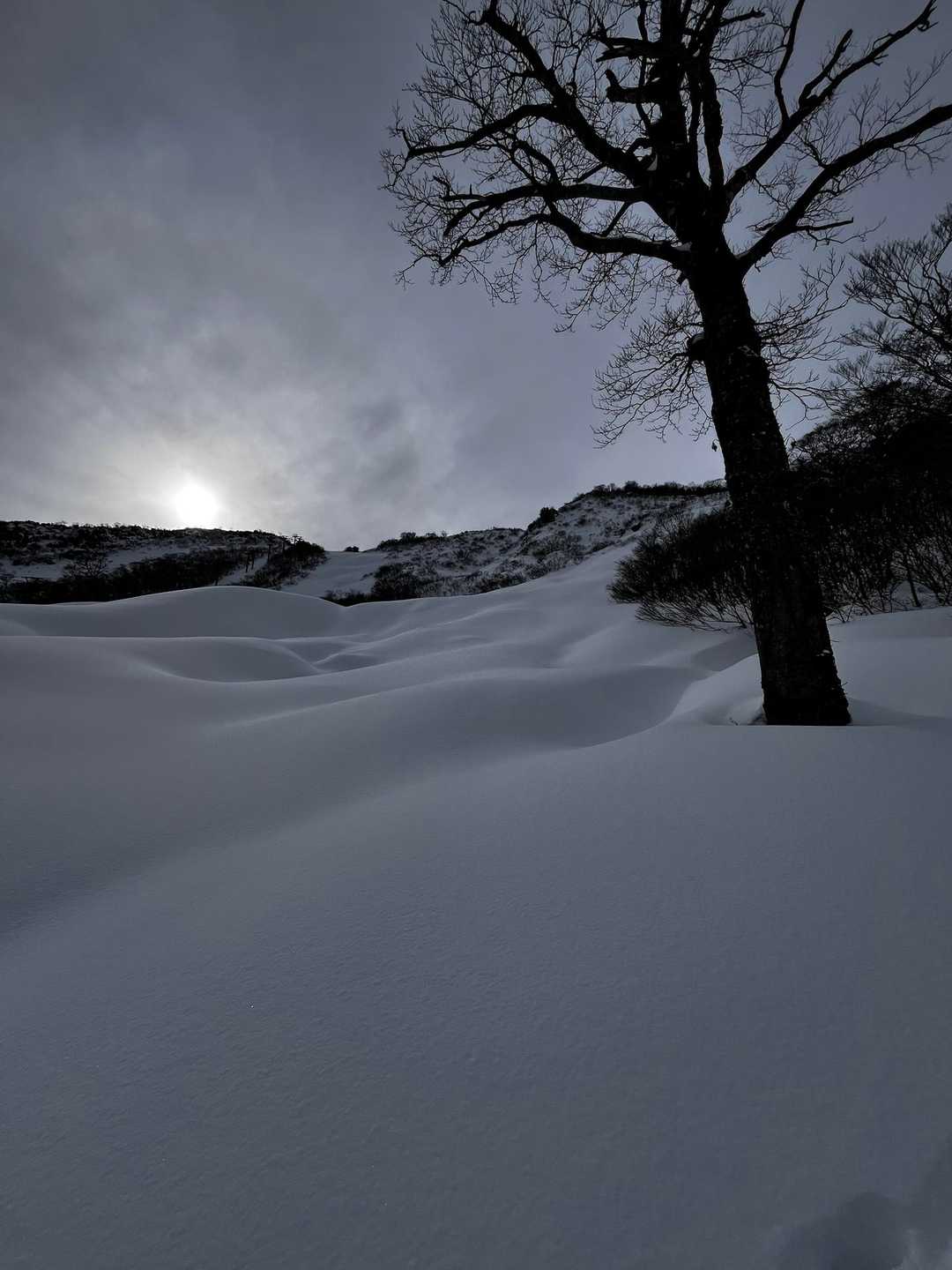 モフモフ☃️