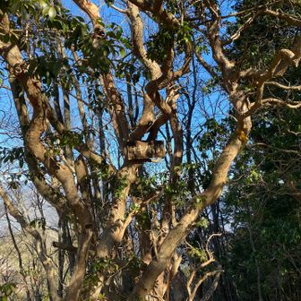 オキノ岩山を通過