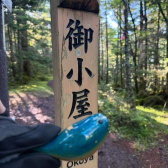 ルリビタキの「瑠璃美」も久しぶりの御小屋
阿弥陀岳に行けてご満悦👦
本日　第1座目