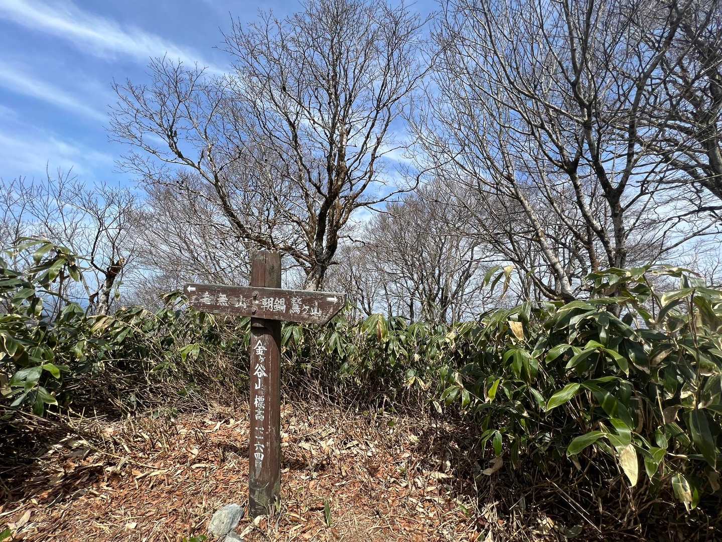 金ヶ谷山へ到着　1164m