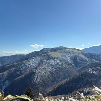 肉眼と全然違う画像のクオリティ😂