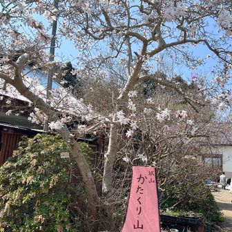 城山かたくりの里に到着（入園料500円）